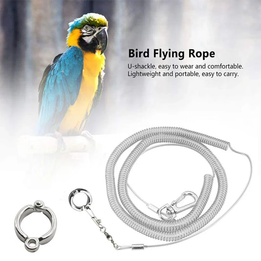 3M/6M Parrot Bird Flying Training Leash - ProPawPet.com