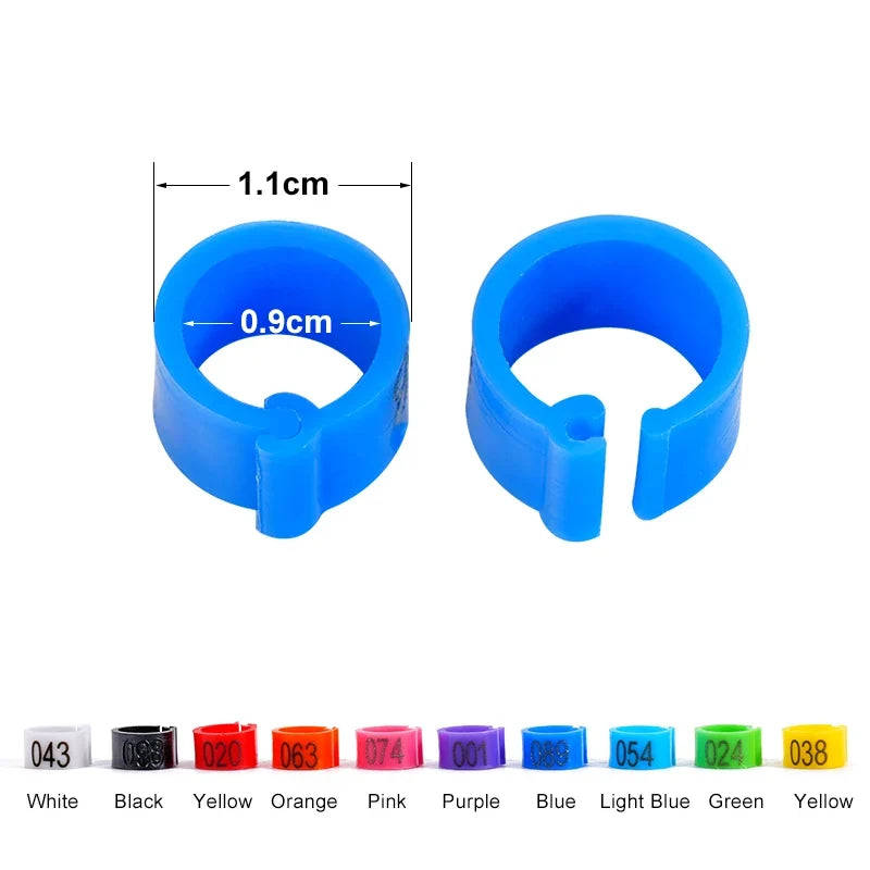 100Pcs Pigeon Foot Ring Feeding Supplies - ProPawPet.com