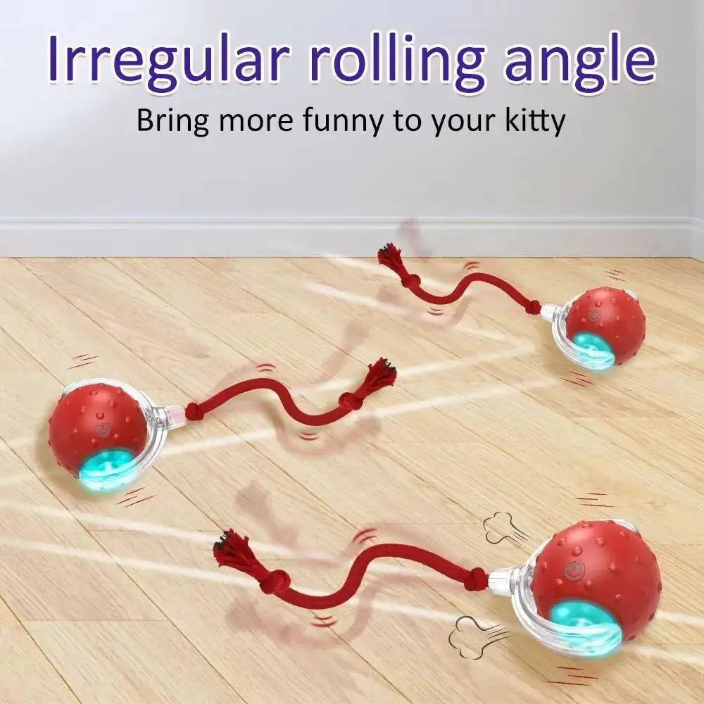 Interactive Cat Toy Ball with Bird Chirping - ProPawPet.com