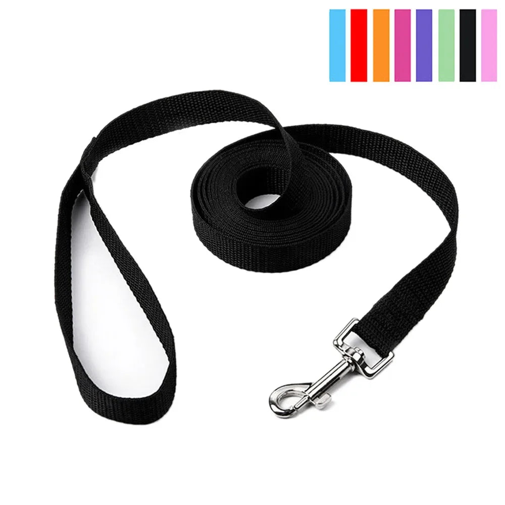 Nylon Dog Leash for Small Dogs and Cats - ProPawPet.com