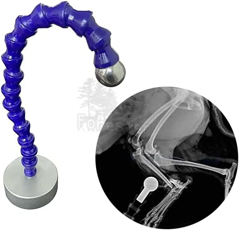X Ray Reference Ball Radiographic Orthopedic - ProPawPet.com