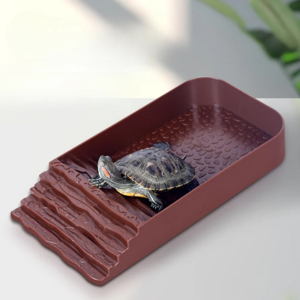 Turtle Bathing Pool, Reptile Feeding Dish - ProPawPet.com