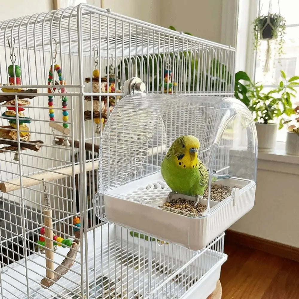 Transparent Bird Bath Cage Splash Proof Food - ProPawPet.com