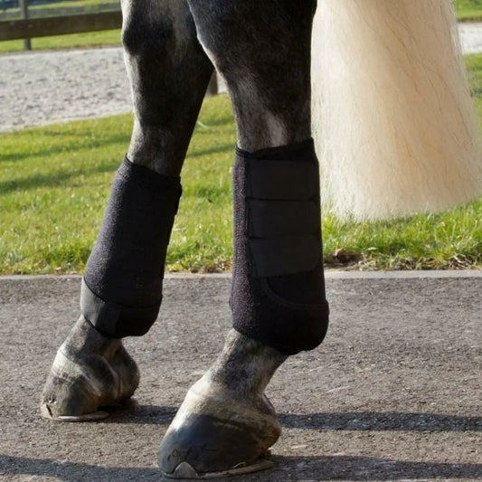 4pcs/set Colorful Horse Sport Boots Set 3 - ProPawPet.com