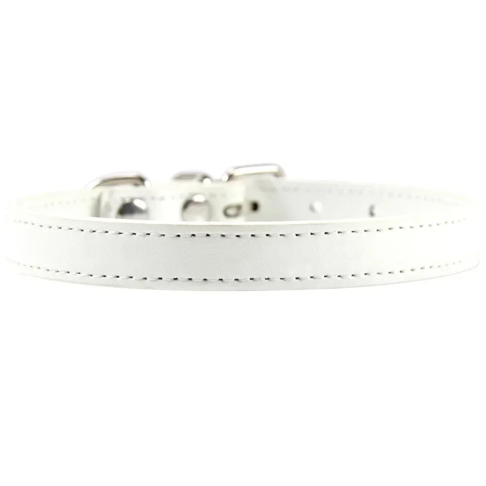 Colorful Leather Puppy Cat Collar Cute - ProPawPet.com