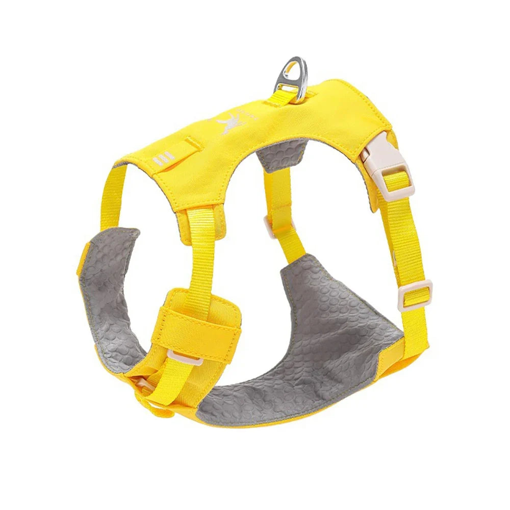 Lightweight Dog Harness & Leash Set - ProPawPet.com