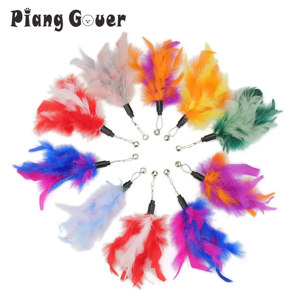5pcs Random Mix Feather Cat Toy Replacement - ProPawPet.com