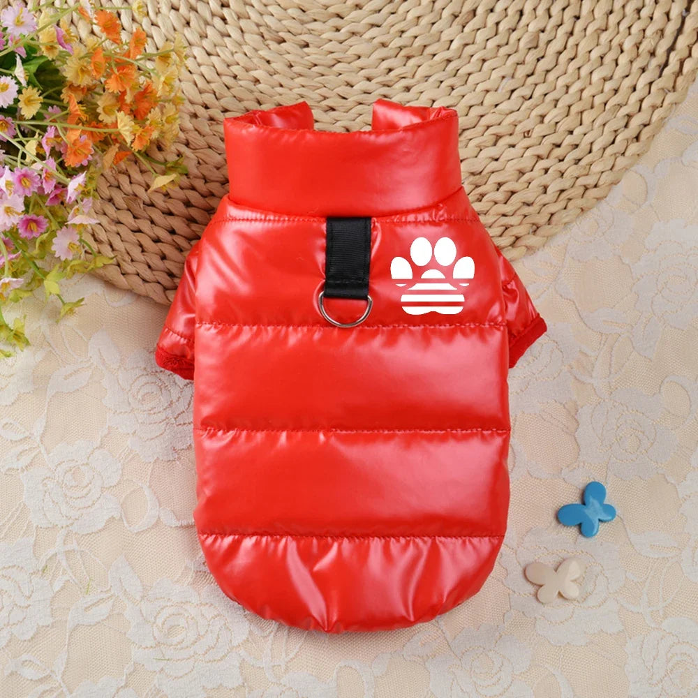 Dog Clothes for Small Dogs Puppy Jacket - ProPawPet.com