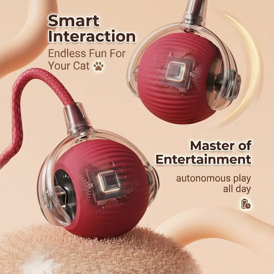 Interactive Cat Toy with Automatic Rolling - ProPawPet.com