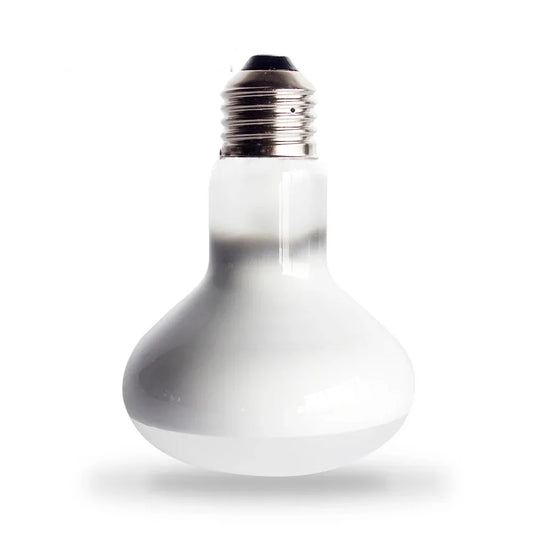 NEW 220V Reptile Heat Lamp Thermal Bulb - ProPawPet.com