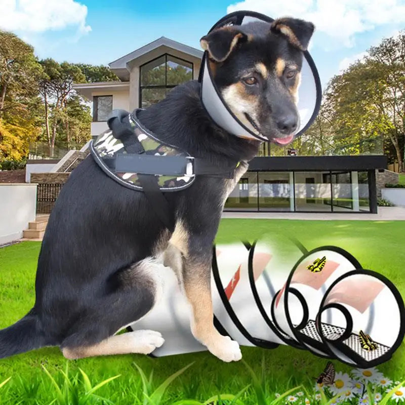 Elizabeth Anti-bite Pet Dog Collar Wound - ProPawPet.com