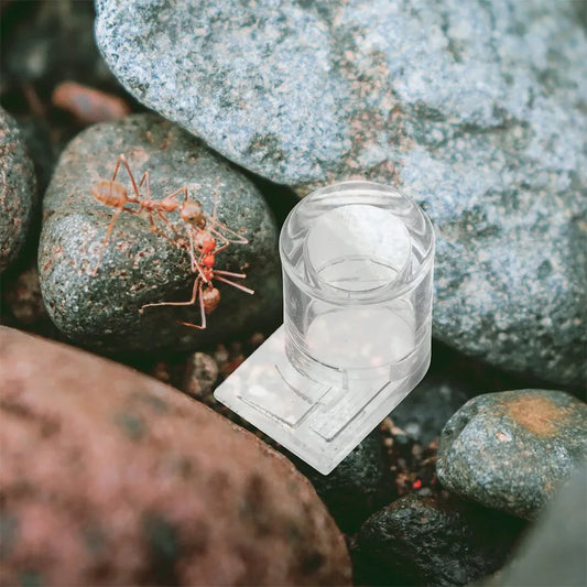 2Pcs Transparent Acrylic Ant Water Bowl Mini - ProPawPet.com