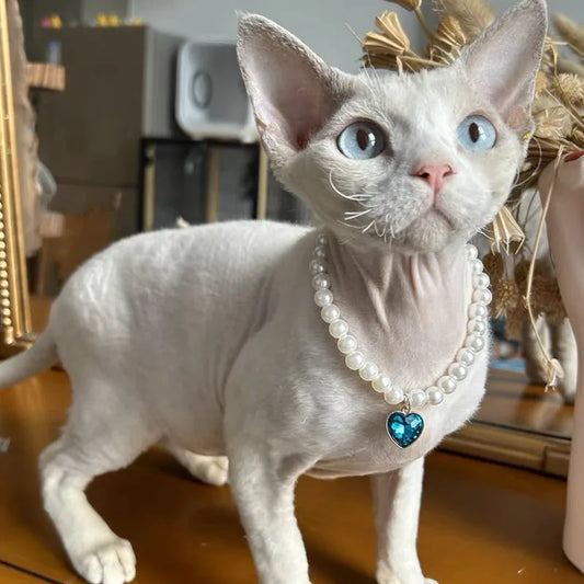 Fashion Luxury Beaded Pearl Pet Choker Multi - ProPawPet.com
