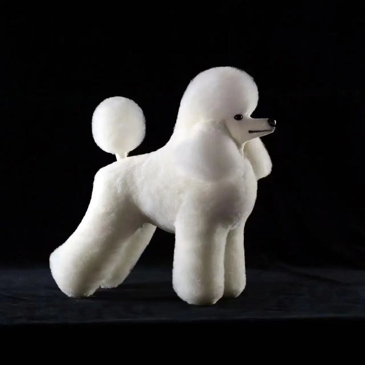 Pet Dog Model Hair Beautician Practice - ProPawPet.com
