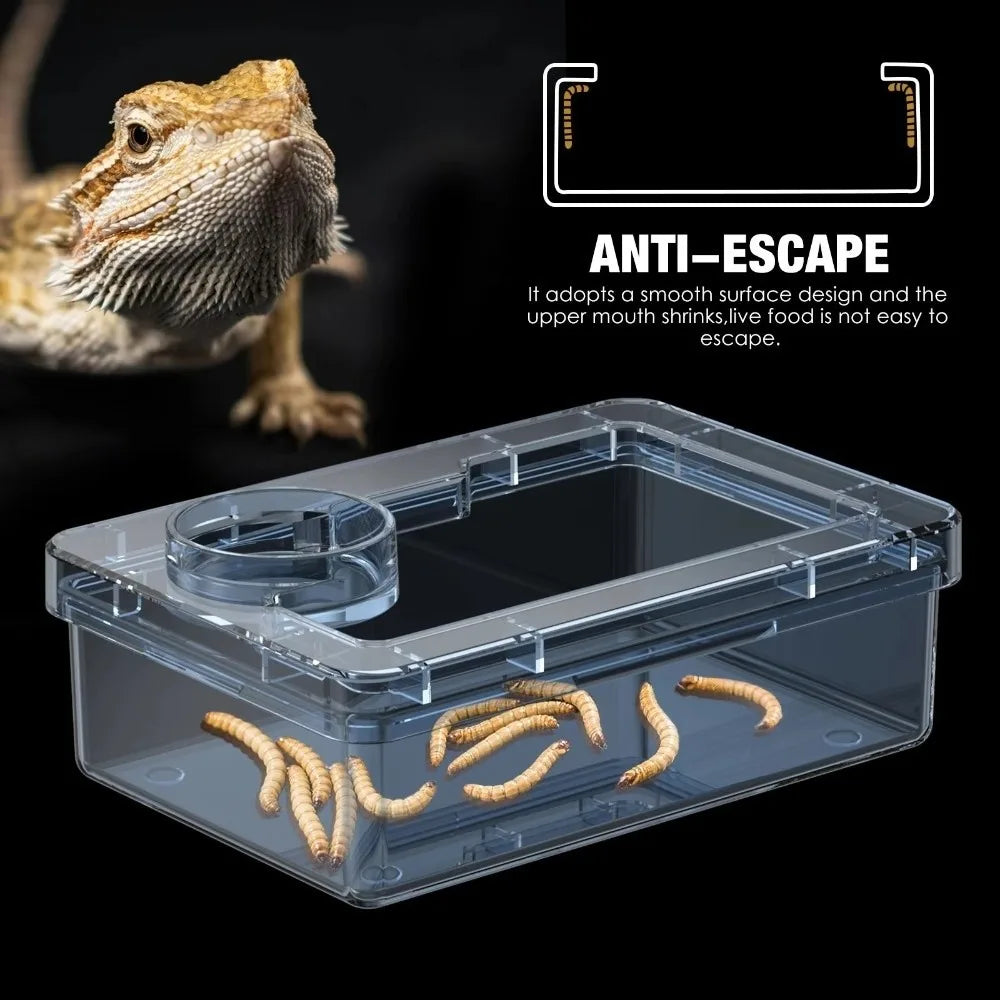Reptile Lizards Geckos Feeding Bowls Anti - ProPawPet.com