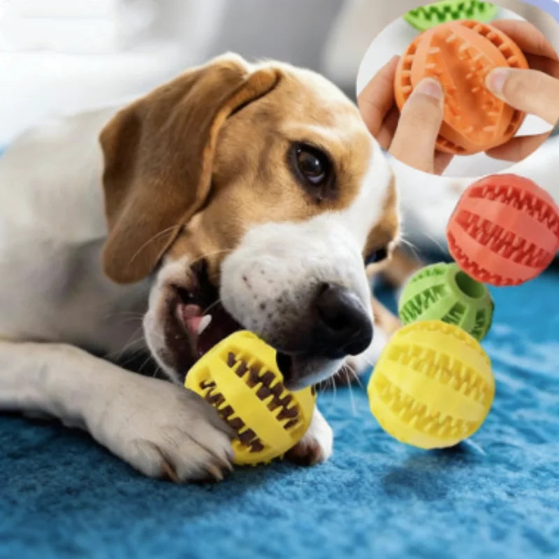 Interactive Silicone Rubber Ball for Dogs - ProPawPet.com