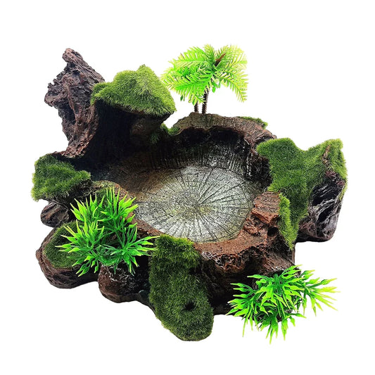 Easy-to-clean Reptile Food Water Bowl - ProPawPet.com