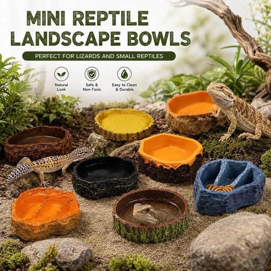 Multi-functional Reptile Feeding Bowl - ProPawPet.com