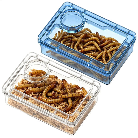 Reptile Escape Proof Feeding Dish with - ProPawPet.com