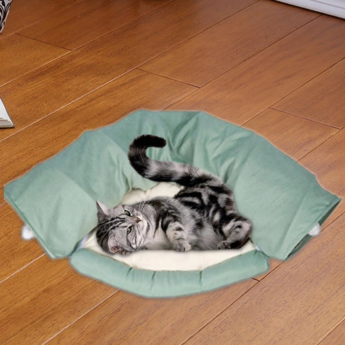 Creative Pet Cat Tunnel Bed Interactive - ProPawPet.com