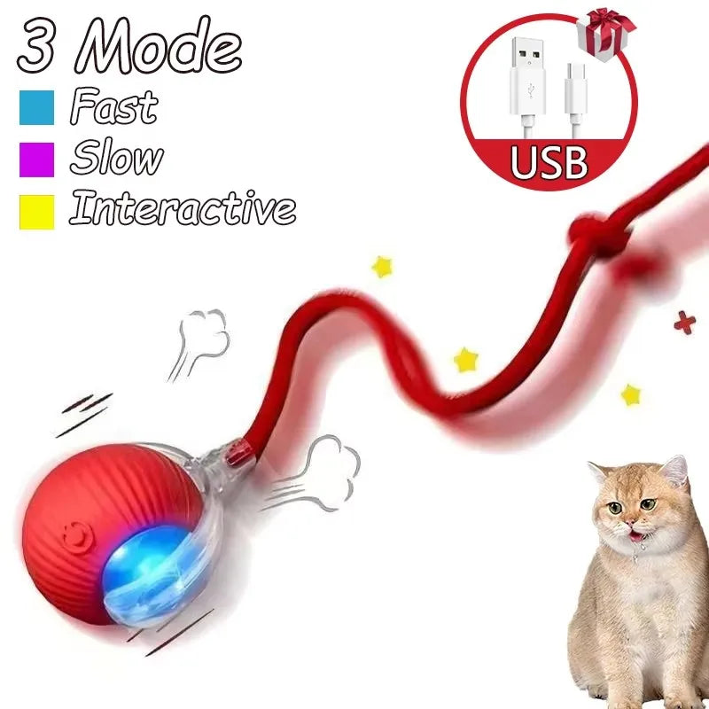 Dog Cat Interactive Ball Toy Automatic - ProPawPet.com