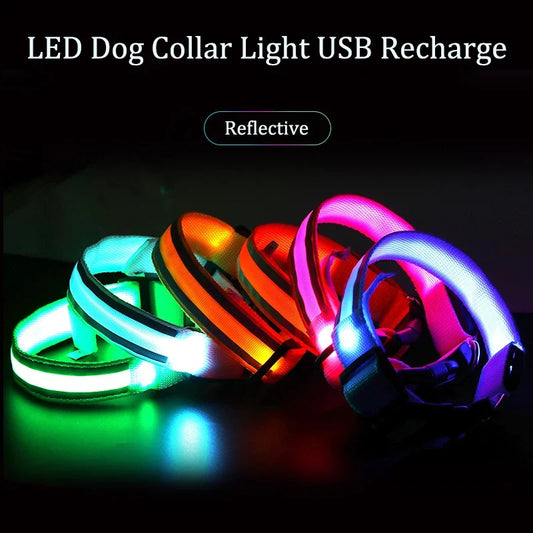 Reflective Dog Collar Luminous Night Safety - ProPawPet.com