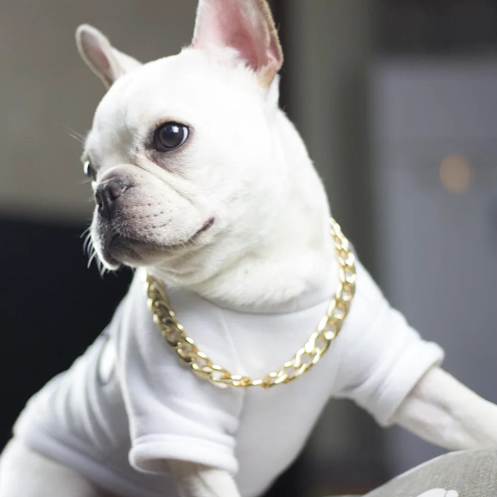 Luxury Dog Collar Gold Pet Necklace Dog - ProPawPet.com