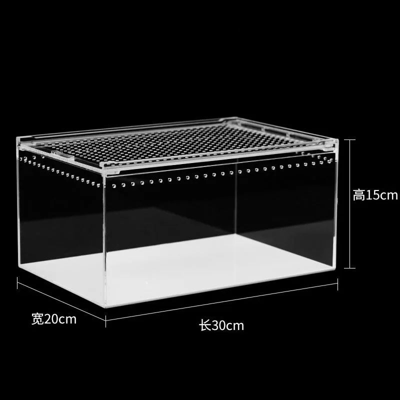 Transparent Integrated No Assembly Pet Feeding Tank – 3 Colors