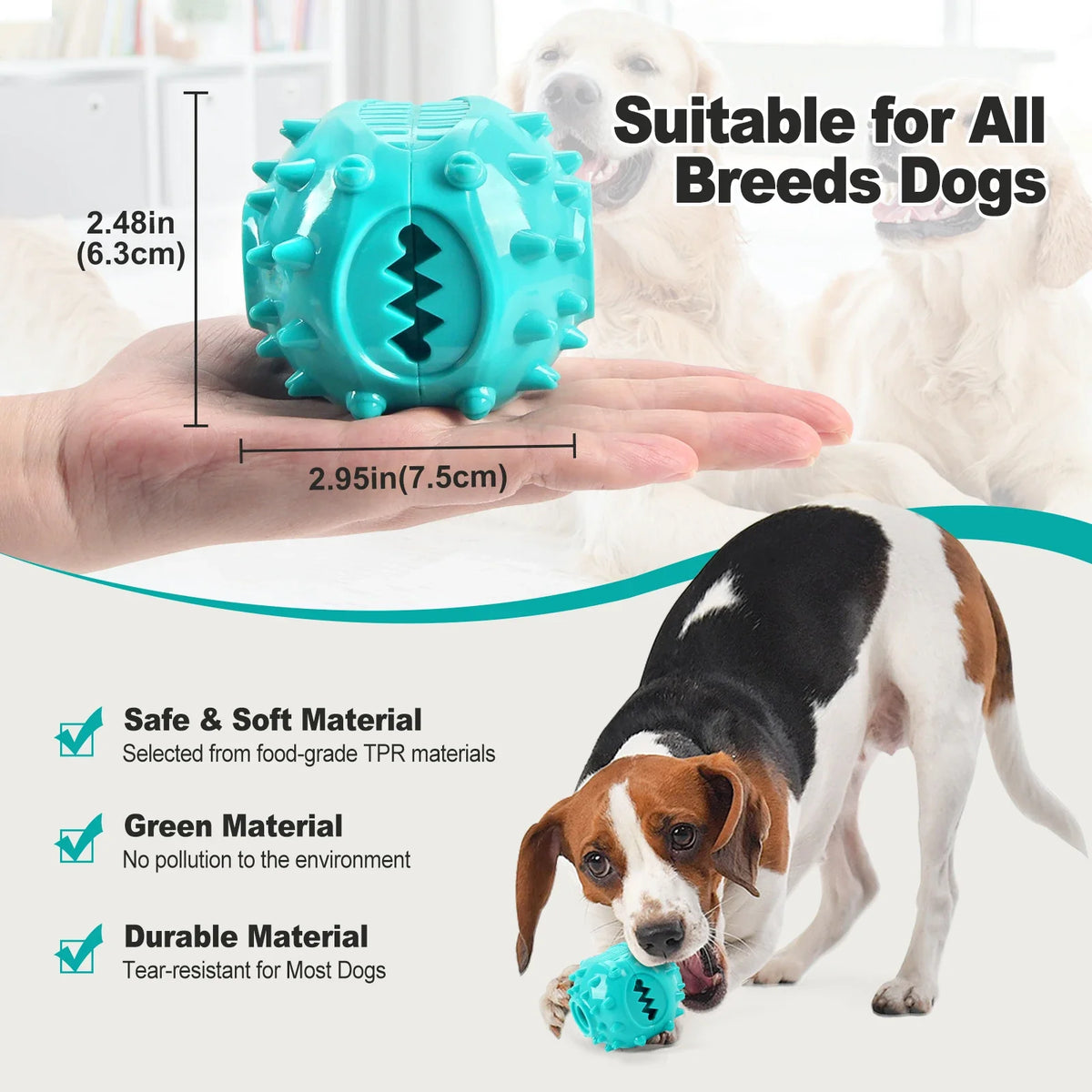 Dog Grinding Teeth Toys Chew Toys Cleaning - ProPawPet.com