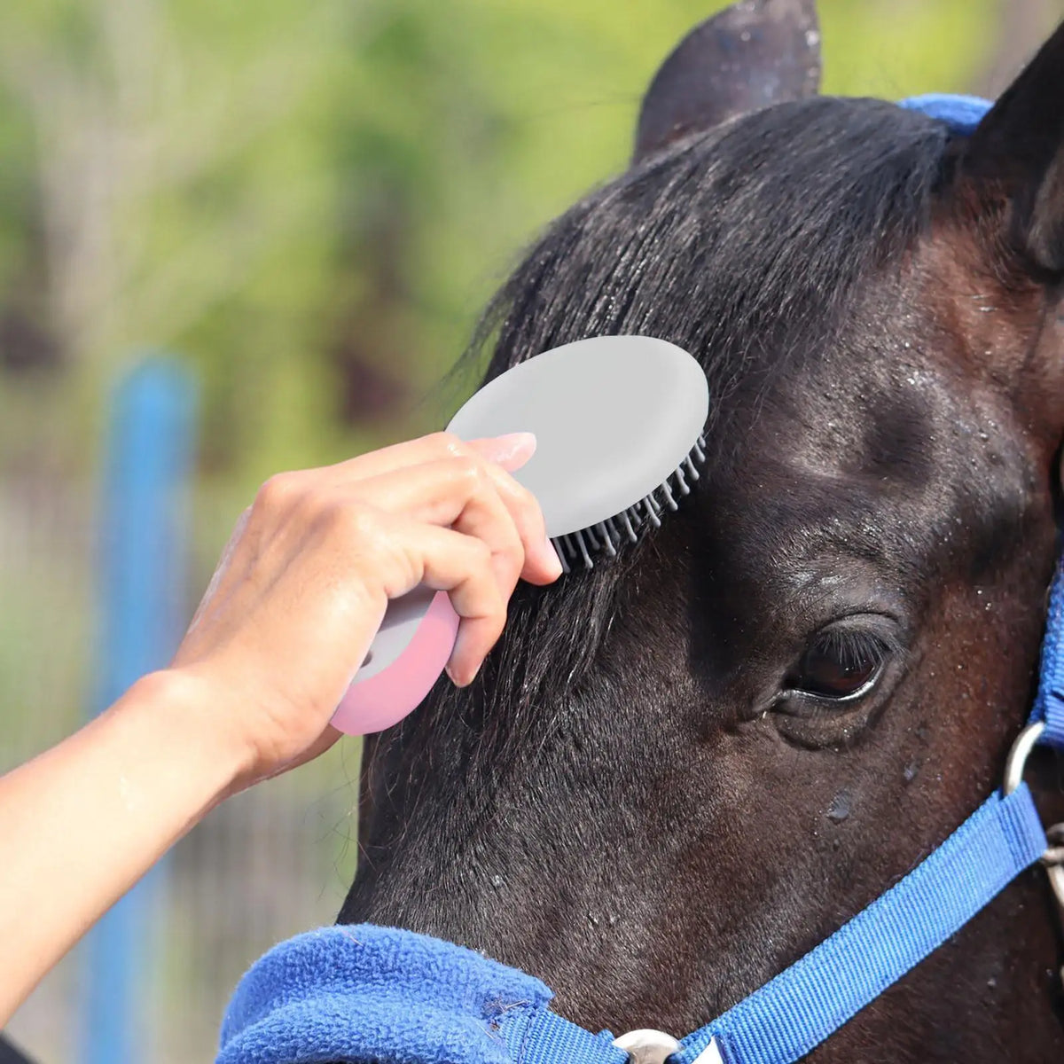 Horse Mane Tail Brush Round Shaped Soft - ProPawPet.com