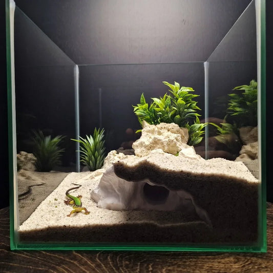 3D Printed High-Low Terrain Decor Dual-Use - ProPawPet.com