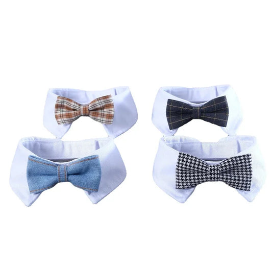 Gentleman Bow Tie Collar Pet Cat Dog - ProPawPet.com