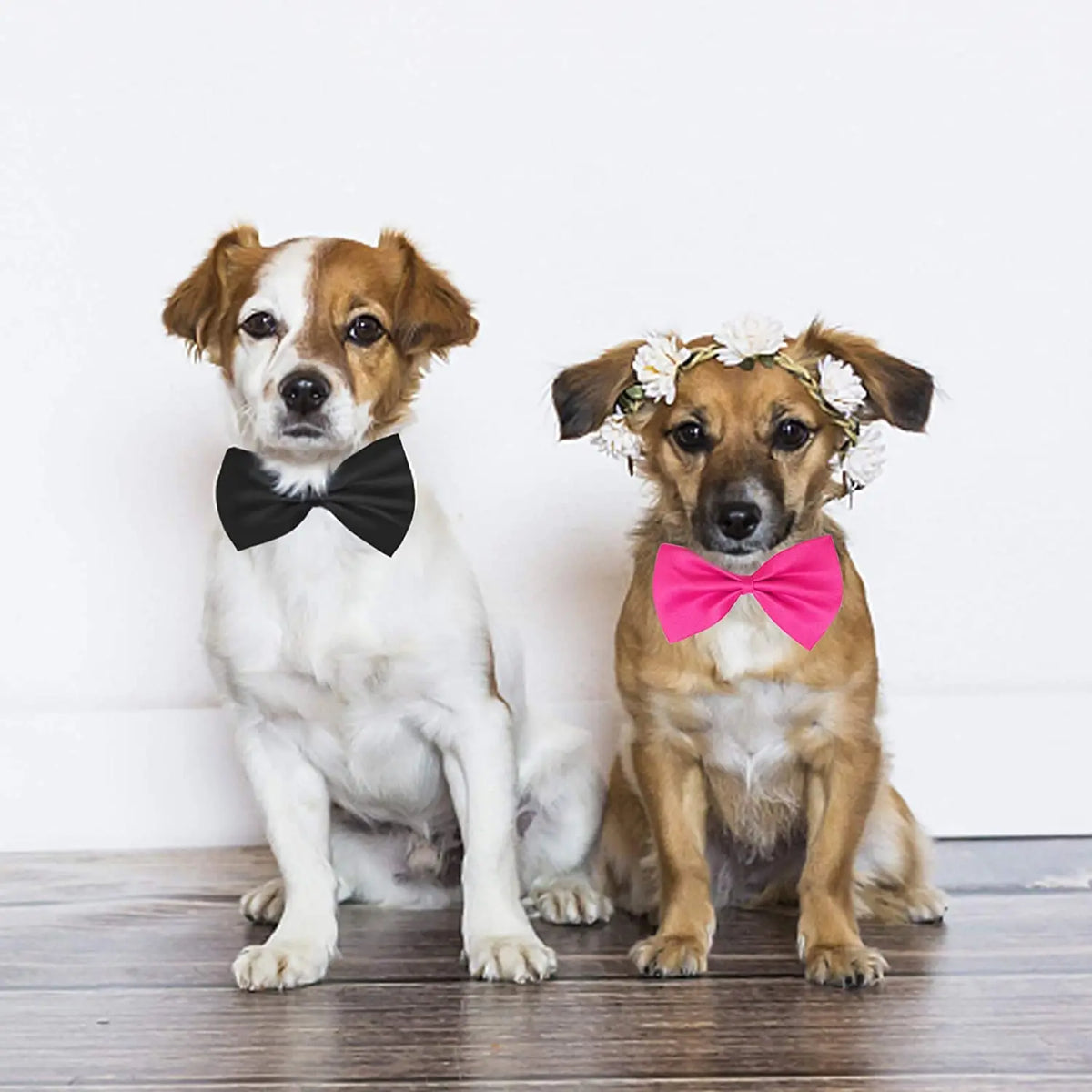 50/100Pcs Adjustable Cat Dog Bow Tie Lots - ProPawPet.com