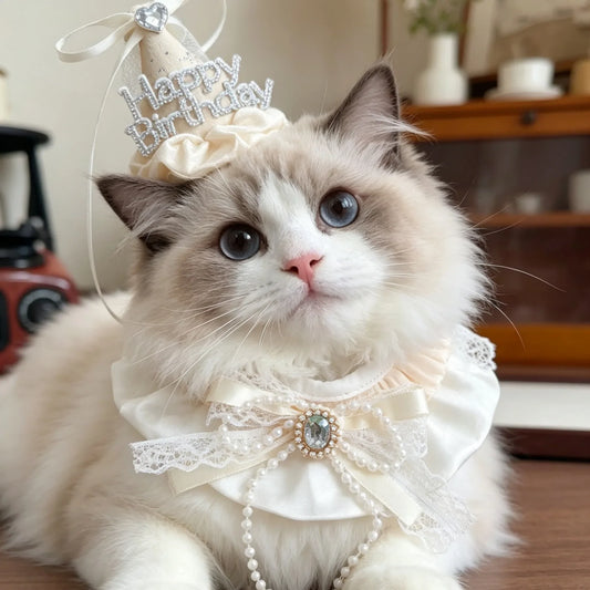 Cute Pet Birthday Outfit Set for Cats & - ProPawPet.com