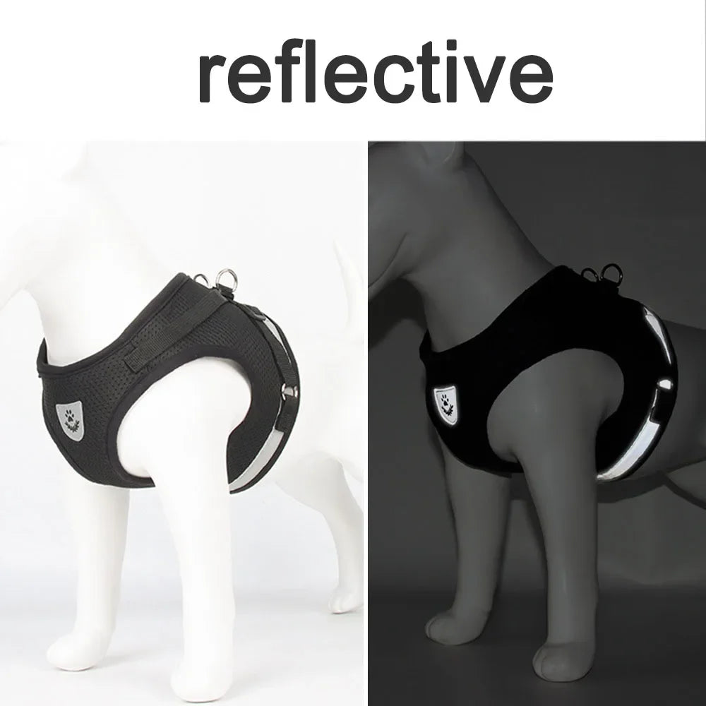 Cat Harness Lead Leash Set Adjustable - ProPawPet.com
