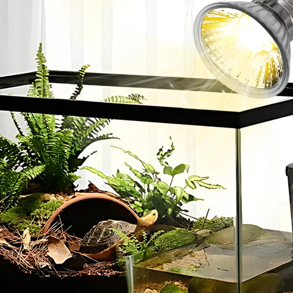 5/1Pc Tortoise Lizard Basking Lamp 25W 50W - ProPawPet.com