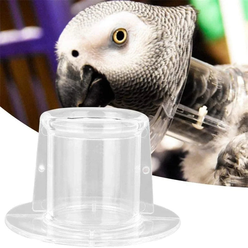 Bird Protective Bead Parrot Collar Anti - ProPawPet.com