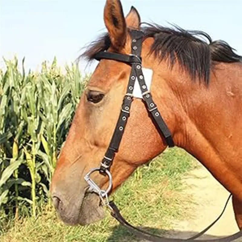 For Horse Chew Stainless Steel French Link - ProPawPet.com