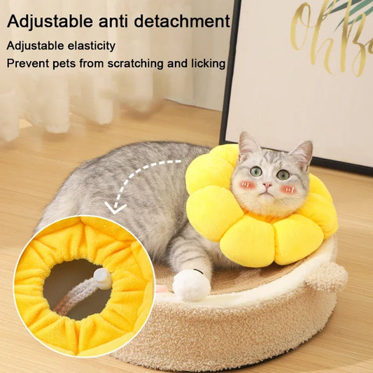 Pet Cat Cone Collar, Cute Elizabethan Cat - ProPawPet.com