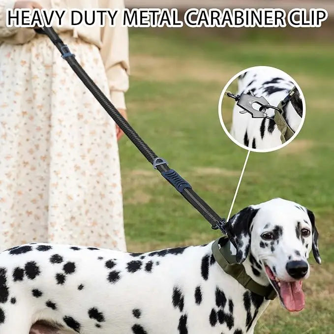 Reflective Shock Absorbing Pet Leashes with - ProPawPet.com
