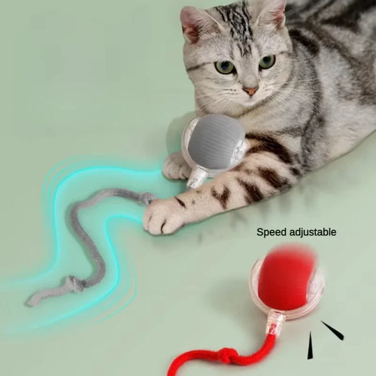 Dog Interactive Ball Toy Automatic Rolling - ProPawPet.com