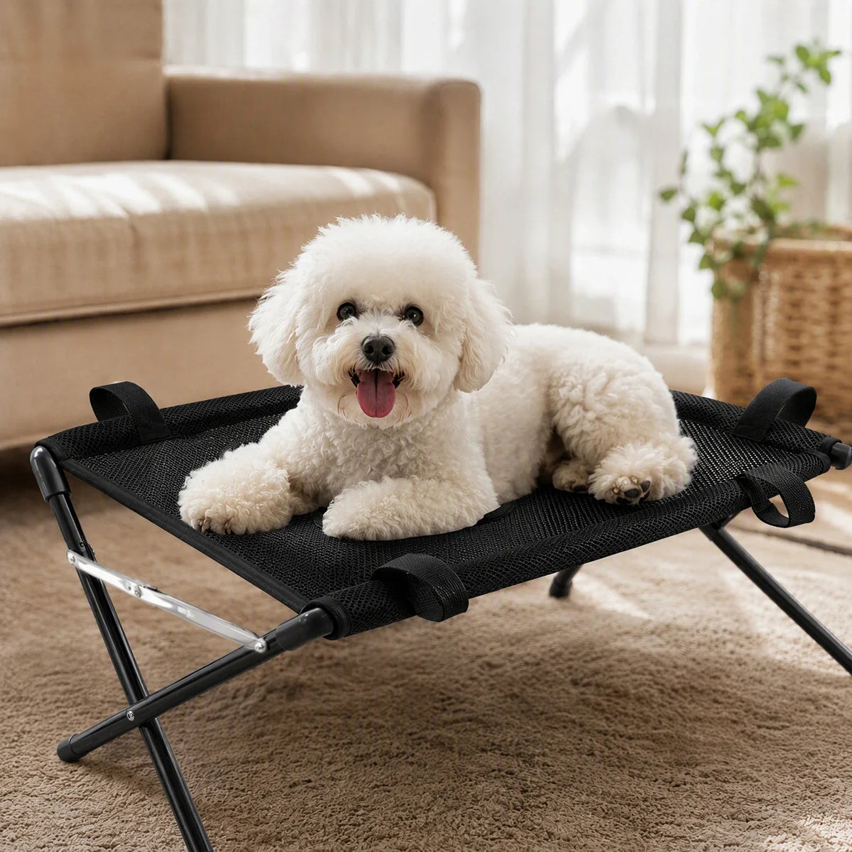 Foldable Pet Grooming Sling Dog Bathing - ProPawPet.com