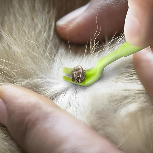 3 Pcs Portable Tick Hook Tweezer Extractor - ProPawPet.com