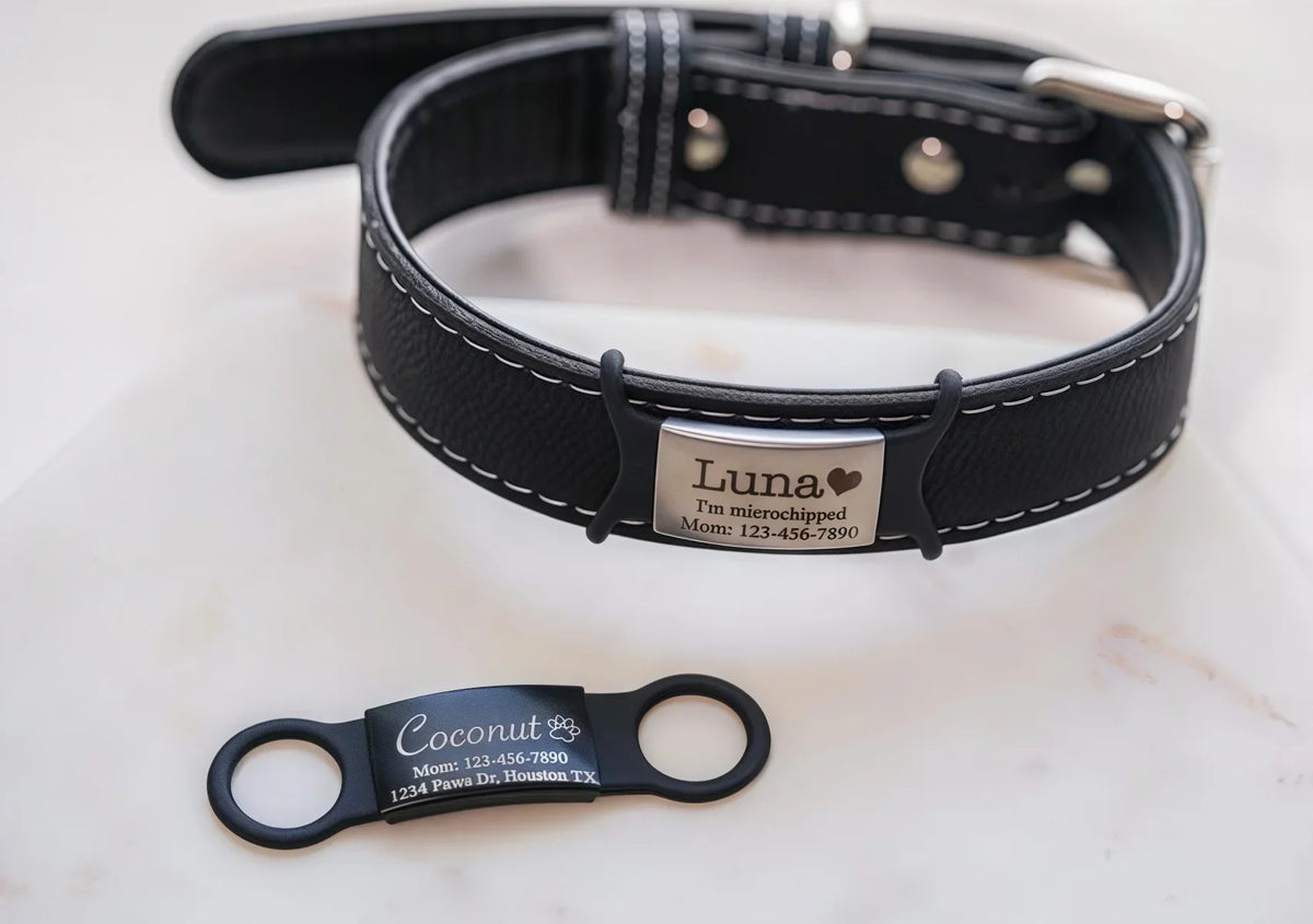 Silent Slide-On Dog Cat Collar Tag - ProPawPet.com