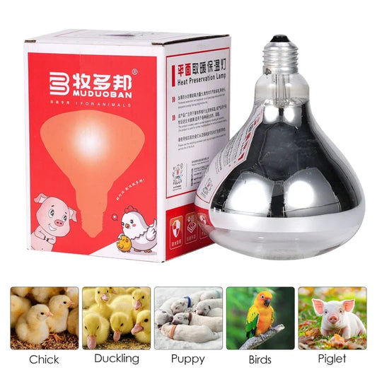 220V 100W/150W/200W/250W Thickened Heating - ProPawPet.com