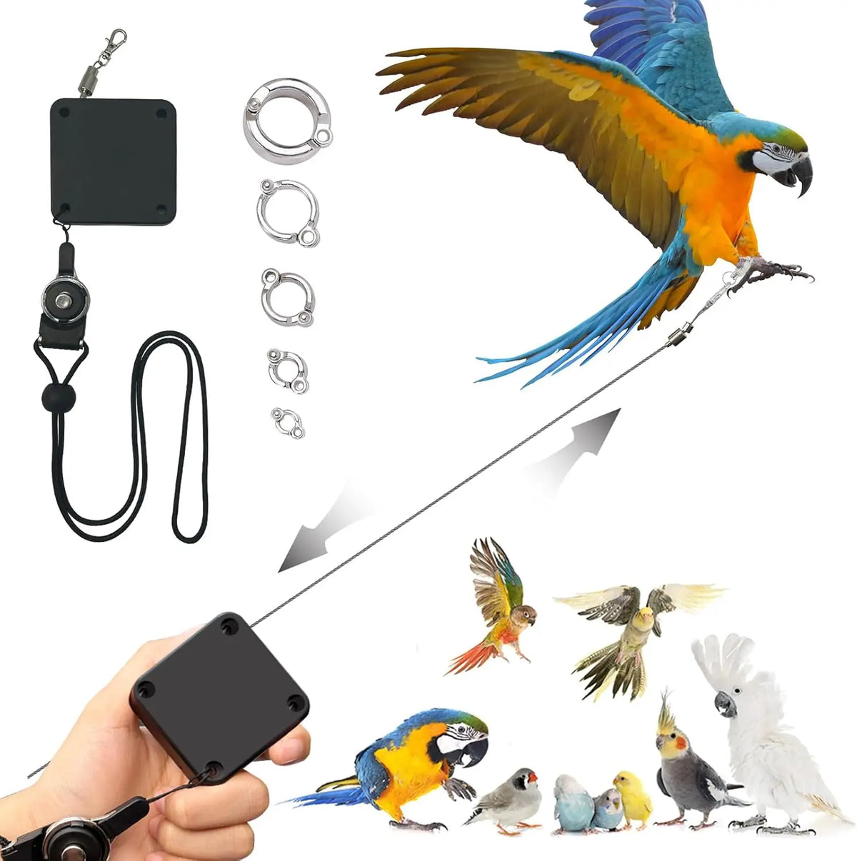 Retractable Bird Leash Parrot Flying Rope - ProPawPet.com