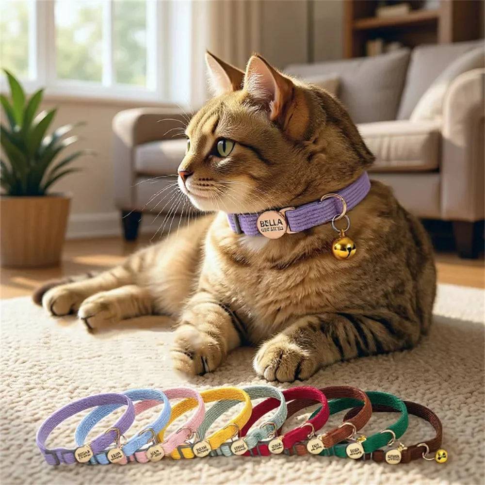 Personalized Engraved Cat Collar Adjustable - ProPawPet.com