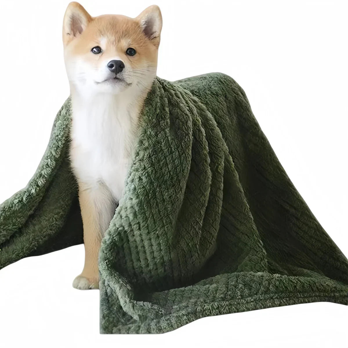 Washable 70x100cm Ultra-soft Fluffy Pet Blanket – Cat Supplies