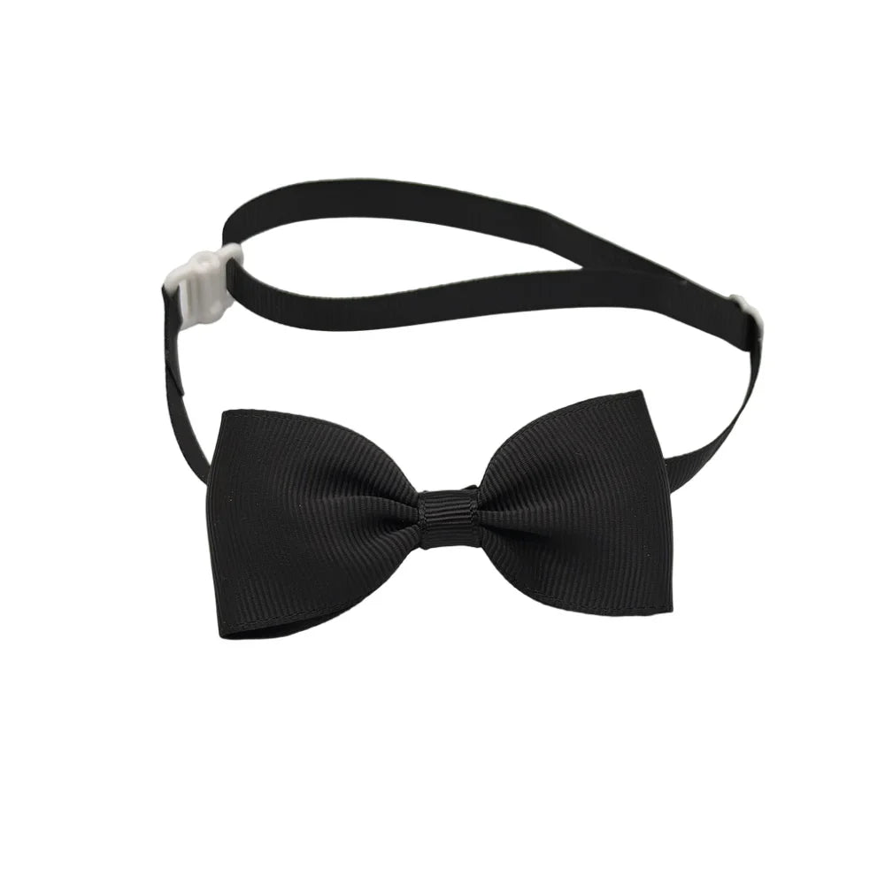 (10 Pieces/Lot) Fashion Bow Tie For Dogs - ProPawPet.com