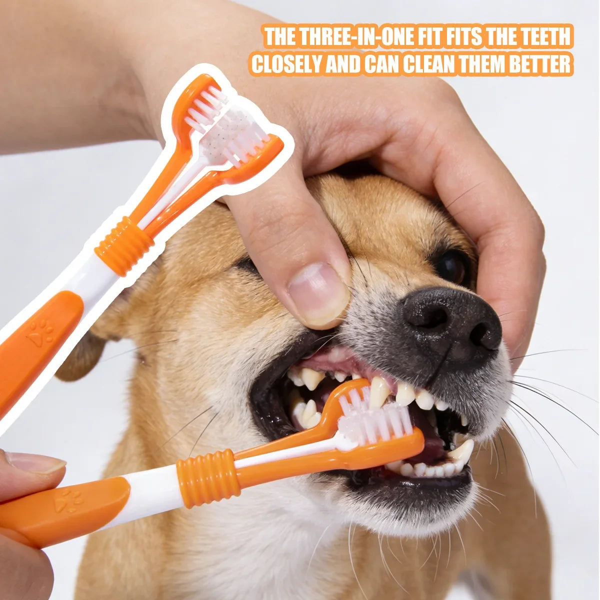 3-Sided Pet Toothbrush Dog Plastic - ProPawPet.com